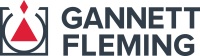 Fleming corp