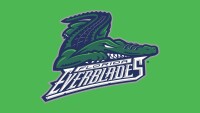 Florida everblades professional hockey club