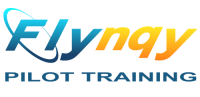 Flynqy pilot training