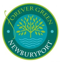 Forever green decor