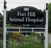 Fort hill animal hospital