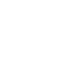 Fou gallery