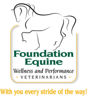 Foundation equine