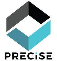 Precise Software Solutions, Inc
