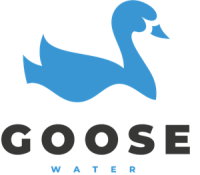 Franklin goose
