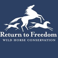 Freedom for wild horses