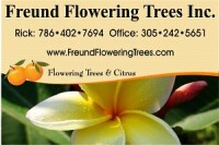 Freund flowering trees inc