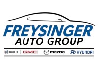 Freysinger hyundai