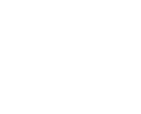 Frontier systems consulting