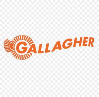 Gallagher security inc