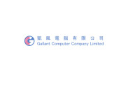 Gallant computer company limited