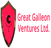Galleon ventures llc