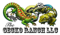 Gecko ranch