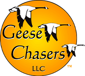 Geese chasers north jersey