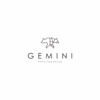 Gemini 5 designs