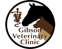 Gibson animal clinic pc