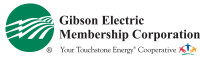 Gibson electrical