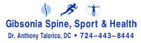 Gibsonia spine sport & health