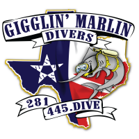 Gigglin marlin dive & swim