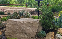 Gigi mcadam landscape design