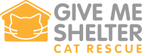 Give me shelter cat rescue