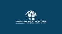 Global network consultants