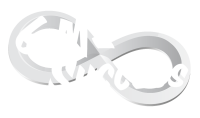 Gm2 success llc