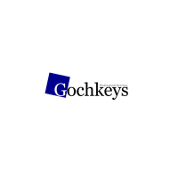 Gochkeys professional services