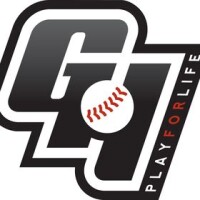 Go hardball training academy