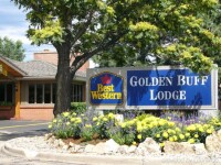 Best western golden buff lodge