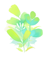 Goldlilys media llc