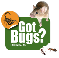 Got bugs exterminating