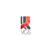 Vascular graft solutions