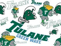 Green wave pharmacy inc