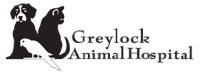 Greylock animal hospital inc
