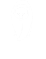 Grizzly grocery