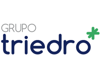 Grupo triedro