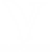 Grupo valía