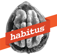Habitus research