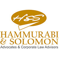 Hammurabi & solomon partners