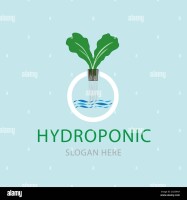 Hanging hydroponics