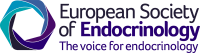 Hanover endocrinology assoc