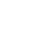 Homeless action network of detroit