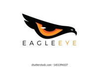 Hawks eye design