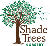 Shade tree farm