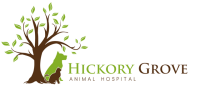 Hickory grove animal hospital