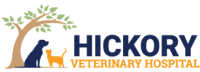 Hickory animal hospital