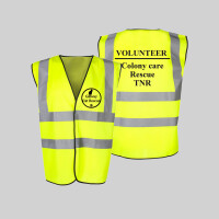 Highviz strategy
