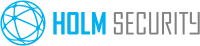 Holms industri