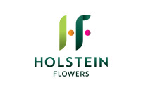 Holstein studios